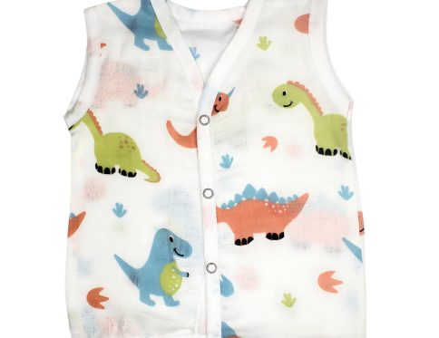 Muslin Jabla - Dinosaur Print