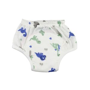 Muslin Padded Underwear Grey and Blue Dino