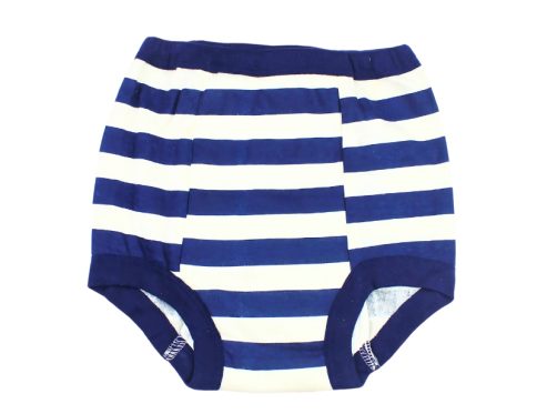 Potty Training Pants Blue Colour 1