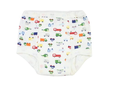 Potty Training Pants Random Colour Mix 1